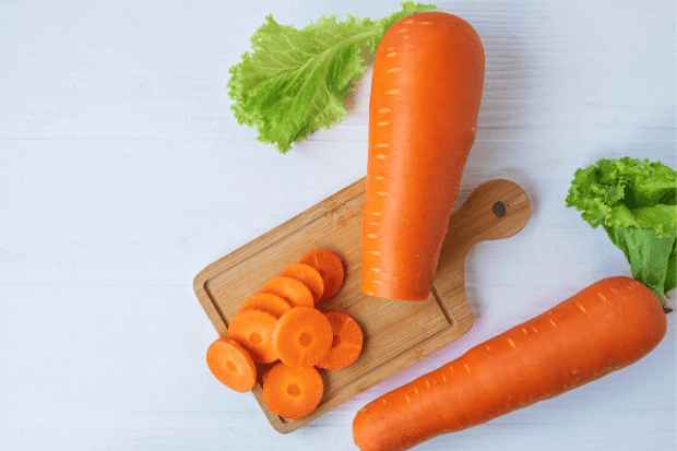 Sayur Wortel