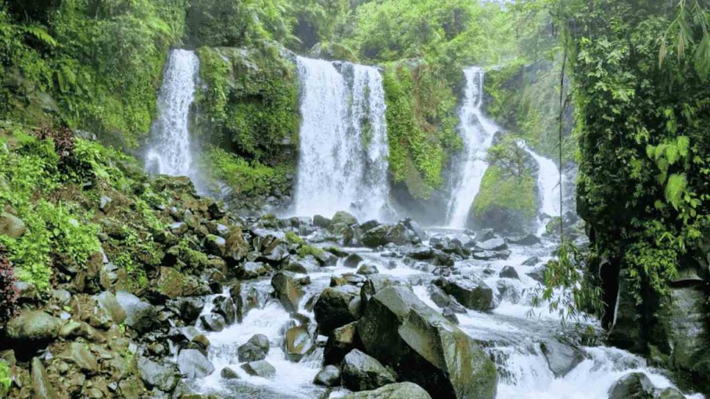 Tiket Masuk dan Jam Operasional