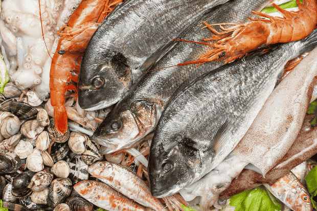 Komunitas Pecinta Seafood Fresh