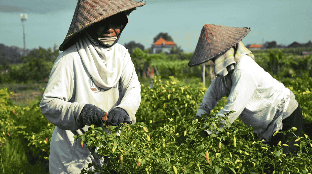 Belajar dari Kesabaran hingga Meraih Kesuksesan