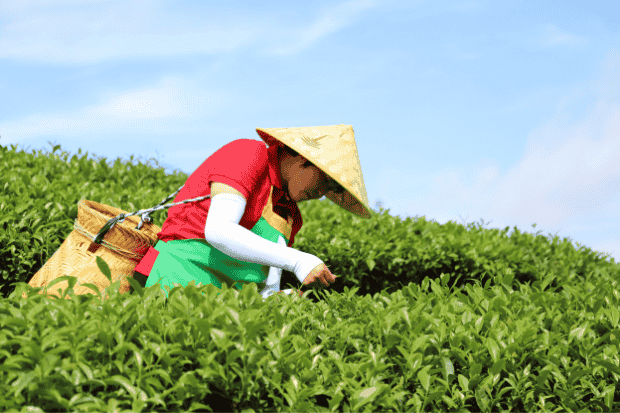 Cara Melatih Kesabaran dalam Kehidupan Sehari-hari