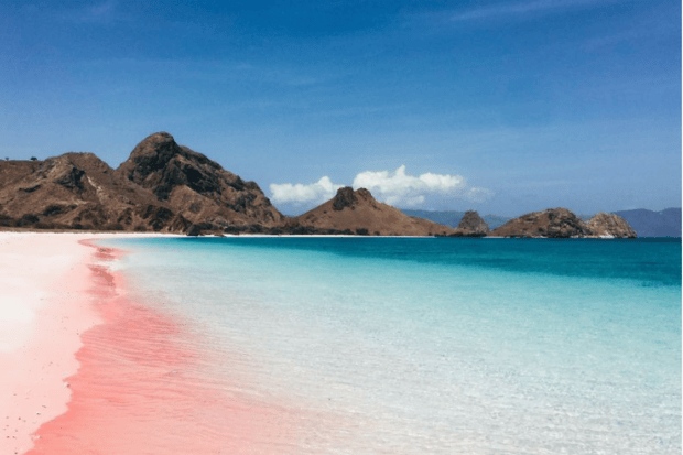 Cara Menuju Pantai Pink