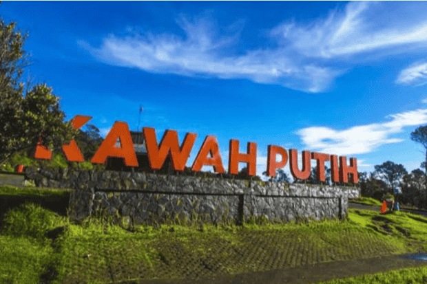 Daya Tarik Utama Kawah Putih Ciwidey