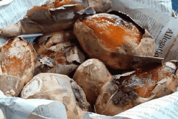 Kenapa Ubi Cilembu Jadi Favorit?