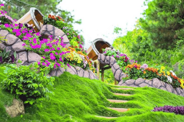 Lokasi dan Jam Operasional