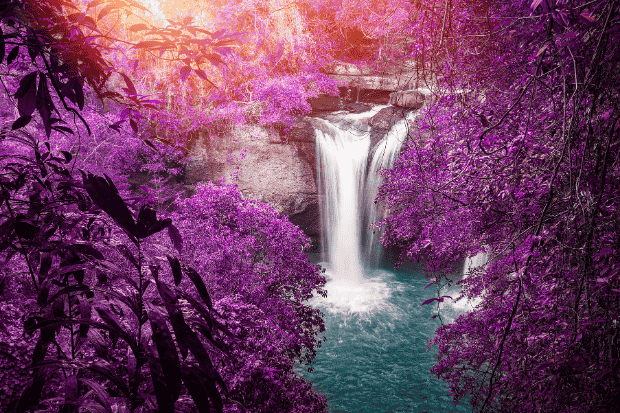 Menikmati Pesona Air Terjun dari Dekat