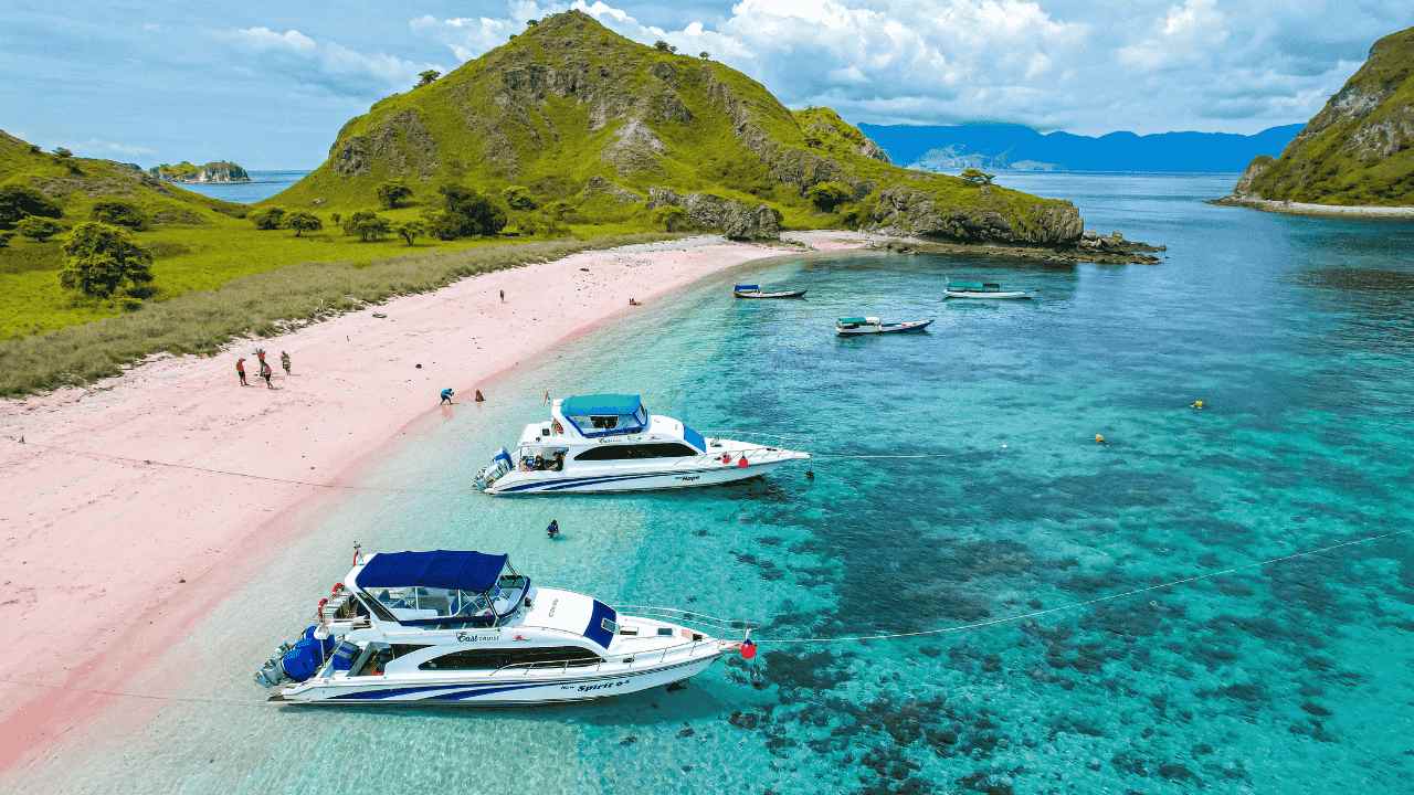 Pantai Pasir Pink Lombok Surga Tersembunyi