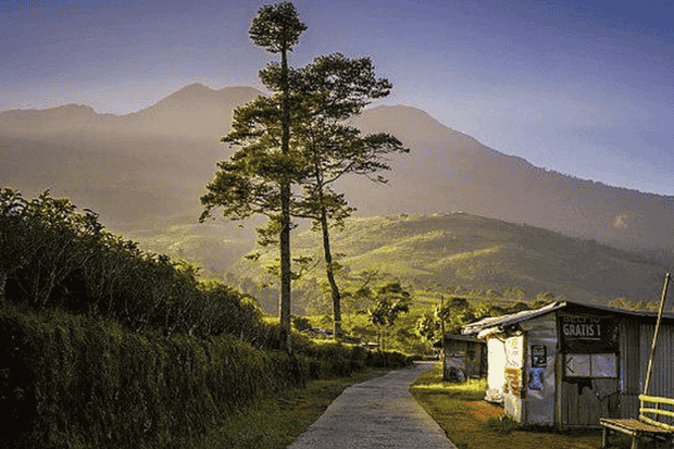 Aktivitas Seru yang Bisa Kamu Lakukan