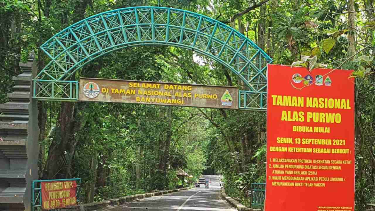 Alas Purwo National Park dan Jejak Misteri yang Menyatu dengan Alam