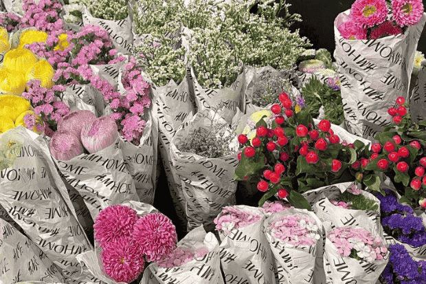 Peluang Pasar yang Terus Bertumbuh