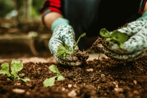 Ruang Belajar yang Bikin Semua Orang Nyaman