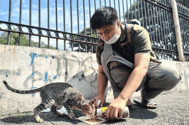 Komunitas Penyelamat Hewan Jalanan yang Aktif di Lapangan