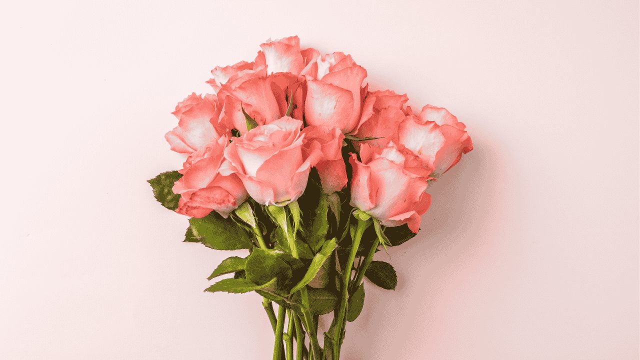 Mengapa Mawar Selalu Menjadi Pilihan Utama, dan Bunga Lain Terabaikan?