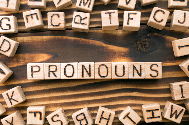 Penggunaan Ons dan Onze pada Kata Benda