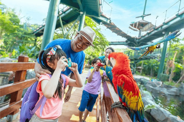 Pengalaman Interaktif Aviary Indoor Jakarta yang Berbeda sudutinfo.my.id