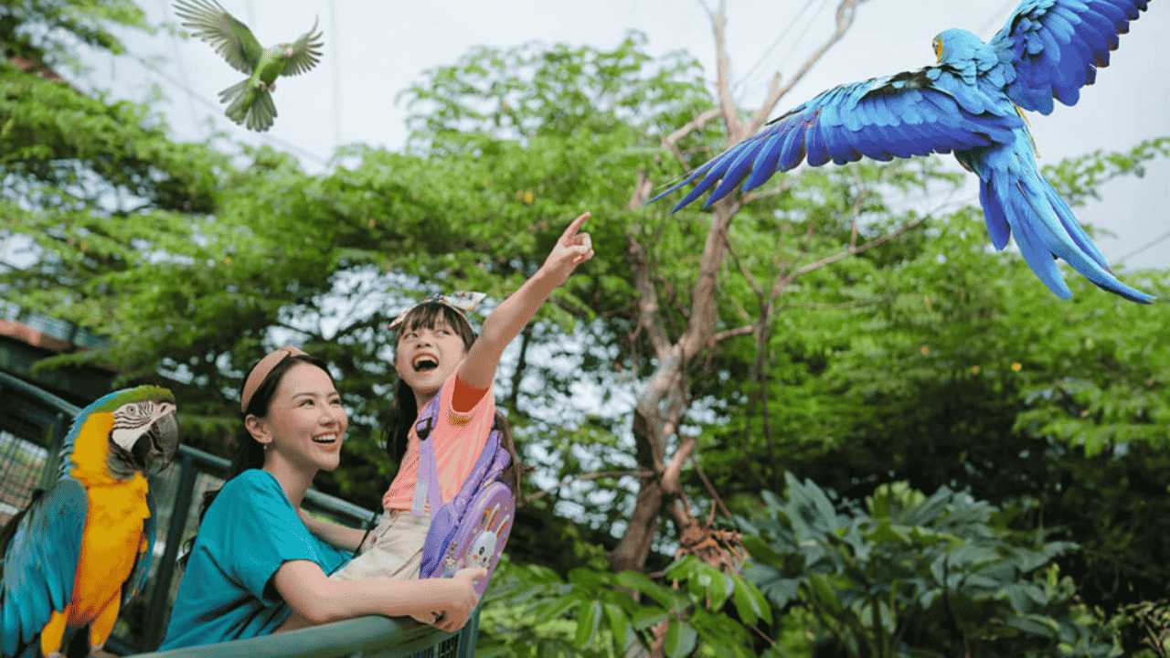 Serunya Jelajah Dunia Burung Modern di Jakarta Bird Land Ancol sudutinfo.my.id