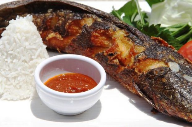 dengan sambal yang pedas berpadu nikmat bersaama krikunya lele goreng