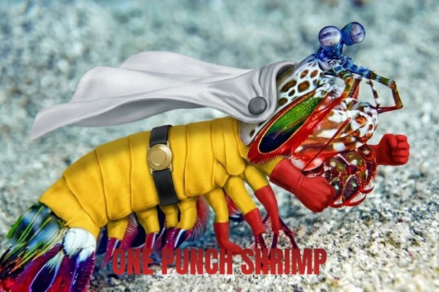 udang mantis parodi one punch man